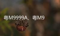 粵M9999A、粵M9999B等靚號(hào)來了！13日梅州又有新號(hào)段投放