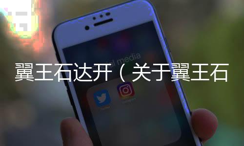翼王石達(dá)開（關(guān)于翼王石達(dá)開的基本情況說明介紹）
