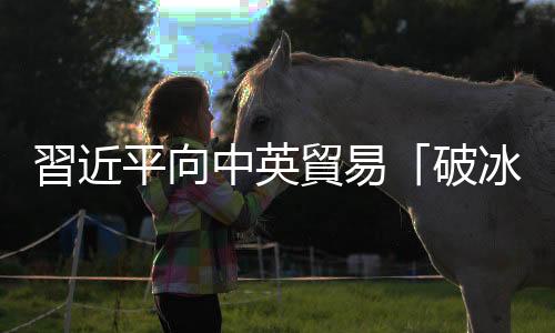 習近平向中英貿易「破冰之旅」70周年活動致賀信