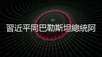 習(xí)近平同巴勒斯坦總統(tǒng)阿巴斯舉行會(huì)談
