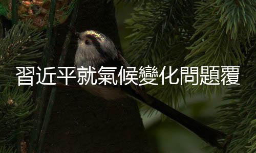 習(xí)近平就氣候變化問題覆信英國(guó)小學(xué)生