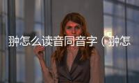 翀?jiān)趺醋x音同音字（翀?jiān)趺醋x音）