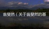 翁斐然（關于翁斐然的基本情況說明介紹）