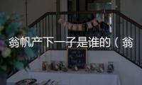 翁帆產下一子是誰的（翁帆產下一子2019）