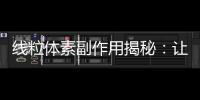 線粒體素副作用揭秘：讓你的身體煥發新能量！