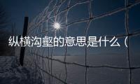 縱橫溝壑的意思是什么（溝壑的意思是什么）