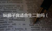 縱膈子宮適合生二胎嗎（縱膈子宮）