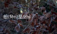 紛(fēn)至(zhì)沓(tà)來(lái)網友如何看?