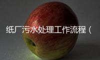 紙廠污水處理工作流程（造紙工業(yè)廢水處理）