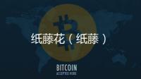 紙?zhí)倩ǎ執(zhí)伲?/></div></a><area draggable=