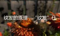 紋發(fā)的原理，“紋發(fā)”什么是紋發(fā)