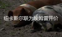 紐卡斯爾聯為埃姆雷開價