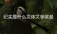 紀實是什么文體文學獎最高獎項文體部申請書