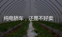 純電轎車，還是不好賣 高端市場挑戰重重