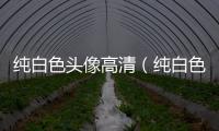 純白色頭像高清（純白色頭像）