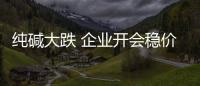 純堿大跌 企業開會穩價,市場研究