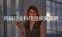 純堿行業(yè)科技進步獎揭曉,行業(yè)資訊