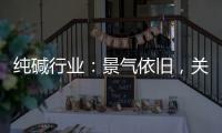 純堿行業：景氣依舊，關注節能整體化企業,行業資訊
