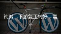 純堿：下游復工轉好，需求緩慢恢復后對純堿現貨交投有積較影響,經驗交流