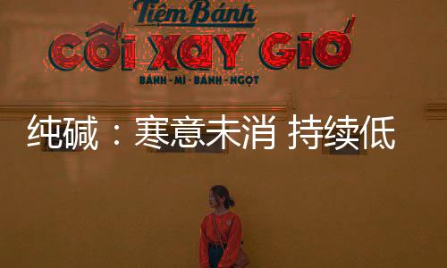 純堿：寒意未消 持續(xù)低迷,市場研究