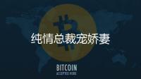 純情總裁寵嬌妻