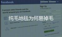 純毛地毯為何易掉毛
