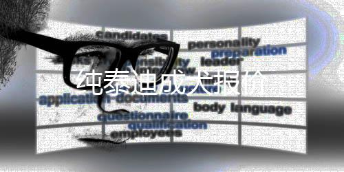 純泰迪成犬報價