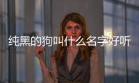 純黑的狗叫什么名字好聽(tīng)(全黑的狗叫什么名字)
