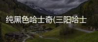 純黑色哈士奇(三陽哈士奇黑色)
