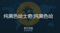 純黑色哈士奇(純黑色哈士奇是怎么回事)