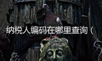 納稅人編碼在哪里查詢（納稅人編碼是什么）