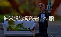 納米脂肪填充是什么 脂肪填充種類