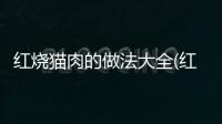 紅燒貓肉的做法大全(紅燒貓眼螺的做法)