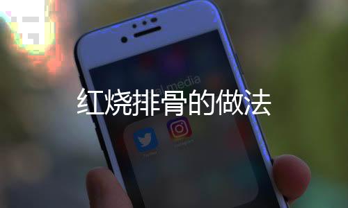 紅燒排骨的做法
