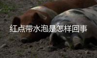 紅點帶水泡是怎樣回事