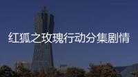 紅狐之玫瑰行動(dòng)分集劇情詳細(xì)介紹(1