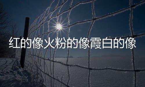 紅的像火粉的像霞白的像雪表達了作者