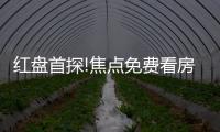 紅盤首探!焦點免費看房團發車!