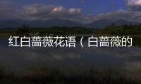 紅白薔薇花語（白薔薇的花語）