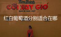 紅白葡萄酒分別適合在哪些場合飲用？