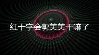 紅十字會郭美美干嘛了