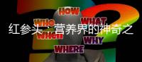 紅參頭：營養界的神奇之物！