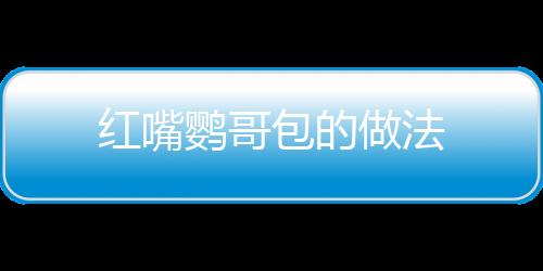 紅嘴鸚哥包的做法