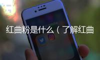 紅曲粉是什么（了解紅曲粉的功效和用途）