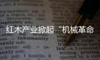 紅木產業掀起“機械革命”