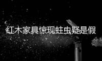 紅木家具驚現(xiàn)蛀蟲(chóng)疑是假貨 賣(mài)家稱很正常