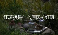 紅斑狼是什么原因（紅班狼倉(cāng)是什么病）