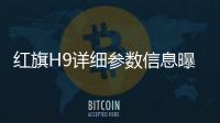 紅旗H9詳細參數信息曝光 長度超5米軸距達3米