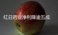 紅日藥業(yè)凈利降逾五成 興城集團(tuán)入主首份業(yè)績疲軟