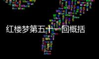 紅樓夢第五十一回概括 紅樓夢51回內容概括